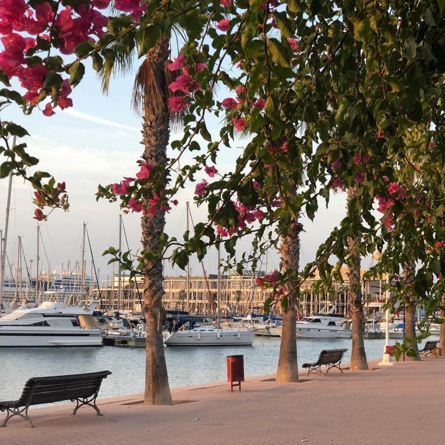 35-3- Комната В Квартире Для Семьи От 1 До 4 Человек В Центре Аликанте Alicante Luaran gambar